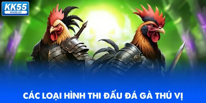 Đá Gà KK55 | Xem Trực Tiếp Các Trận Thi Đấu HD Chất Lượng 4 cac-loai-hinh-thi-dau-da-ga-thu-vi
